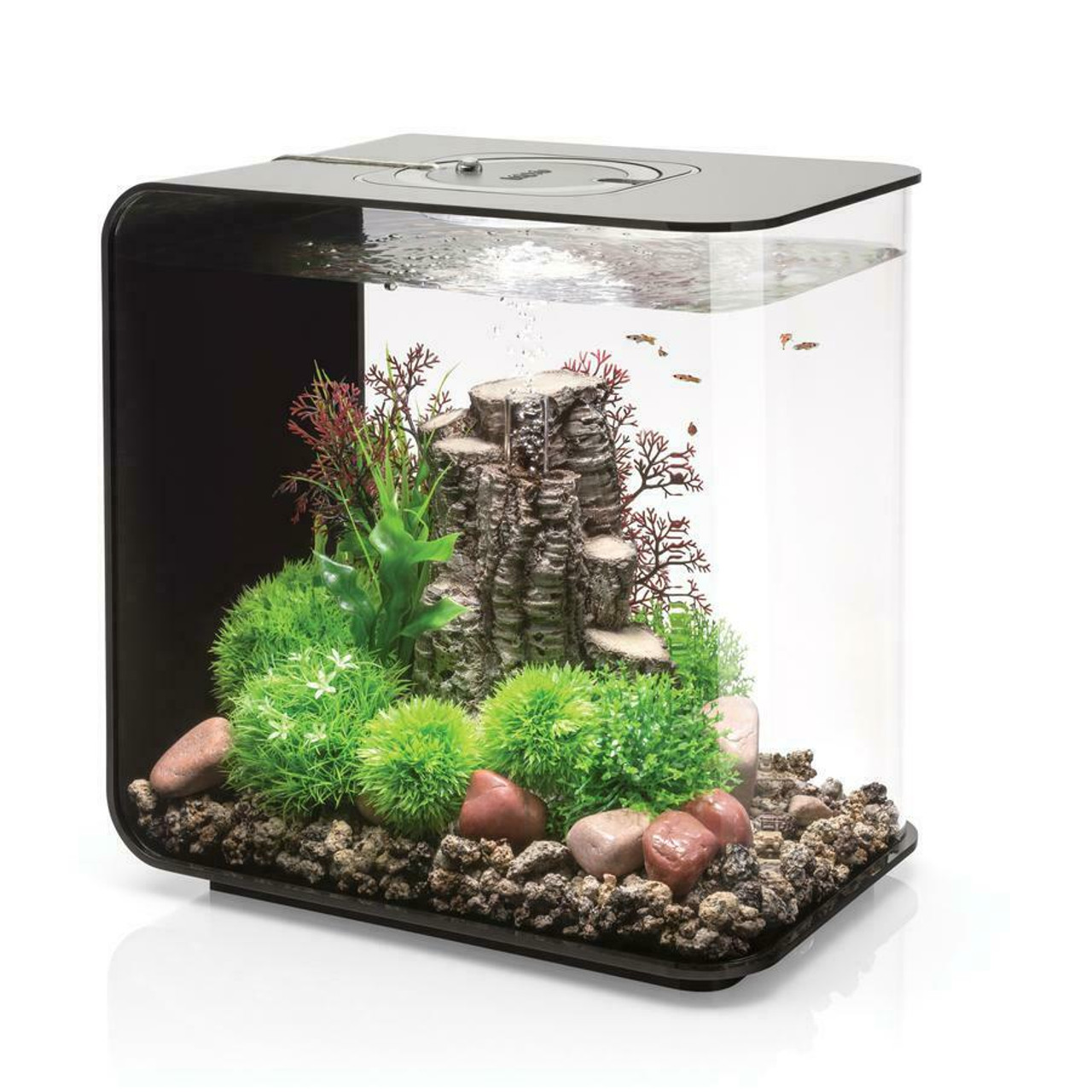 Aquarium Products